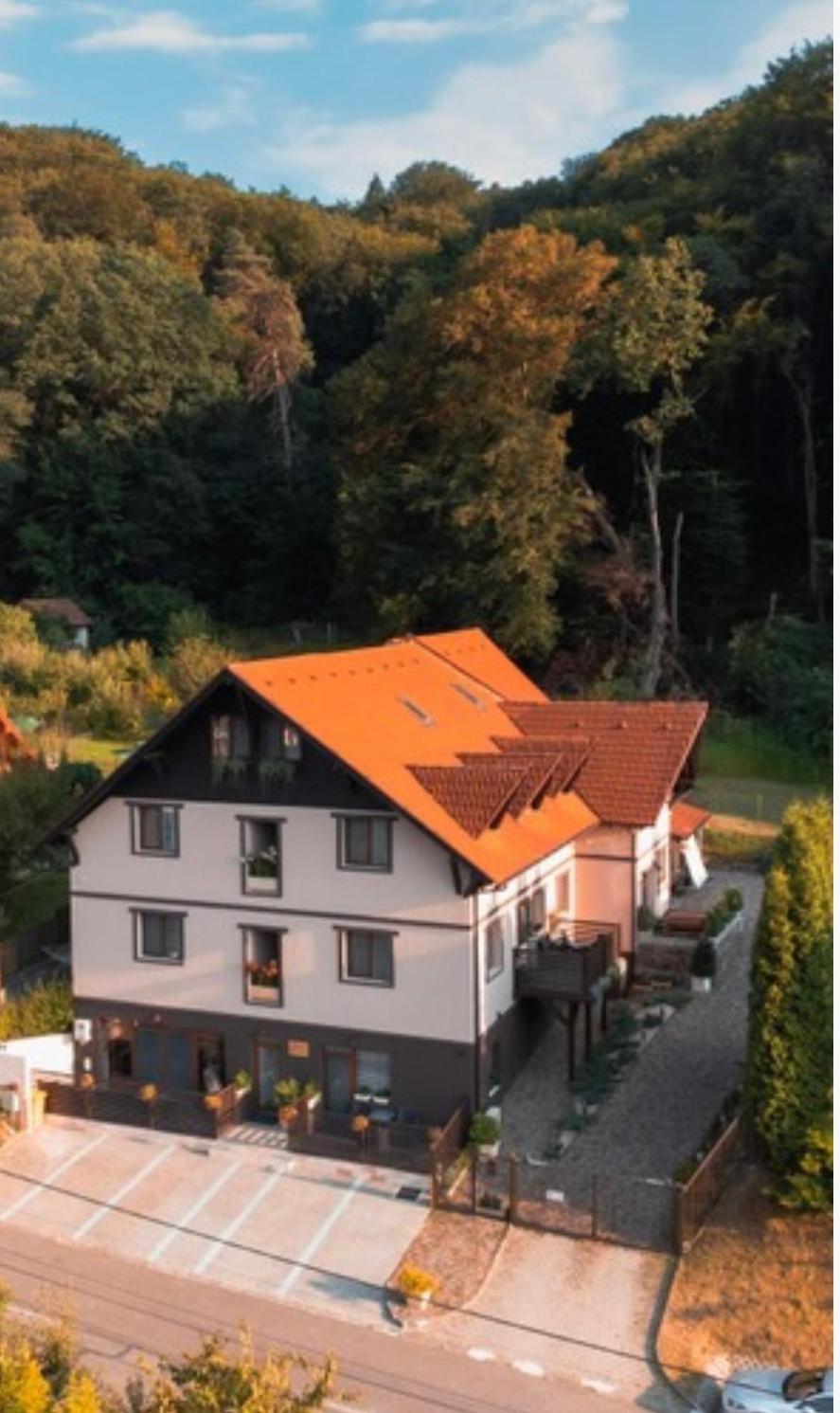 Silvan Villa - Apart Sighisoara Exterior photo